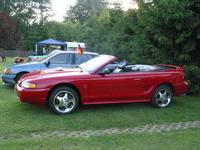 Mustang