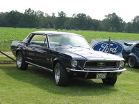 Mustang